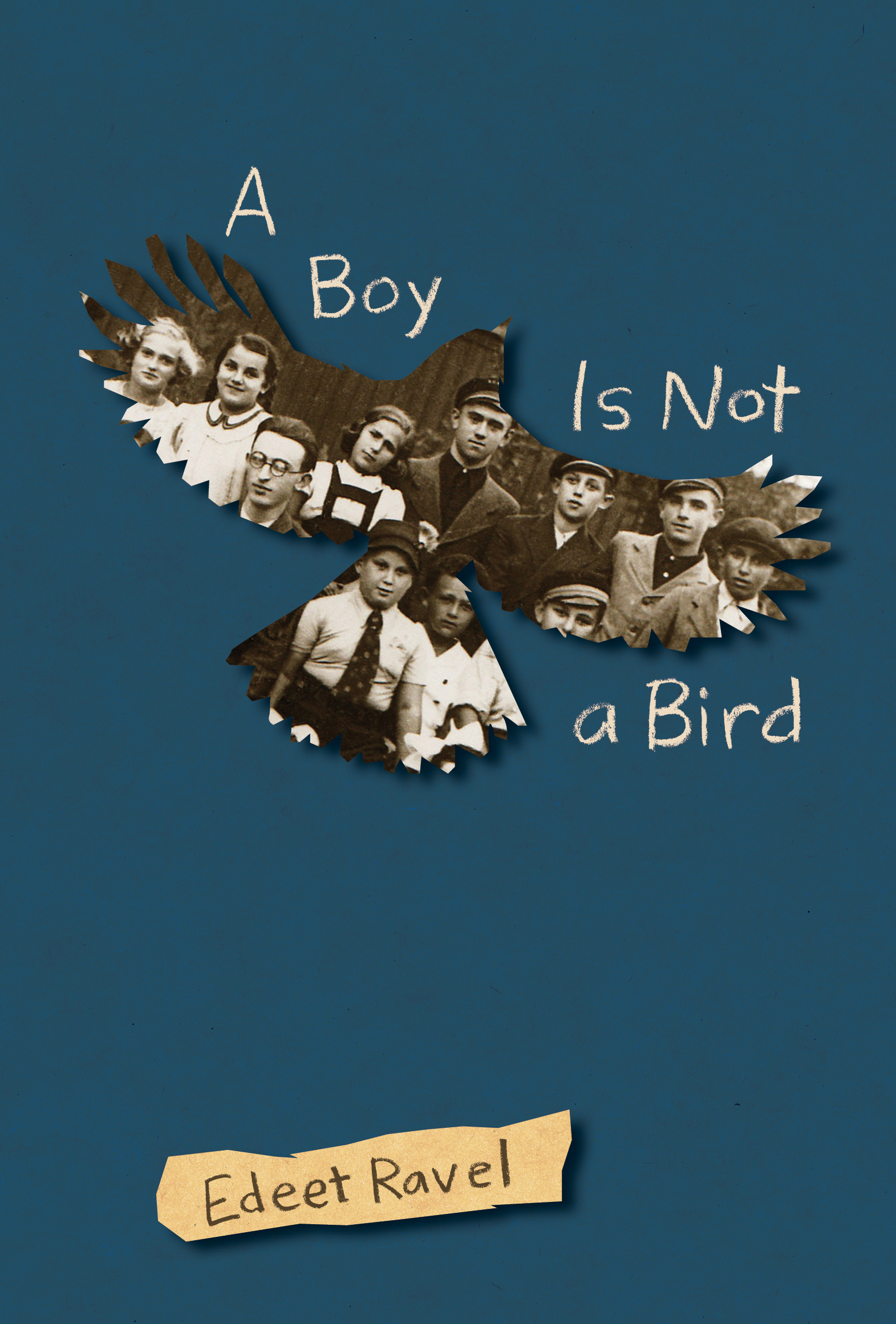 A Boy is not a bird